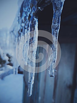 Icicle