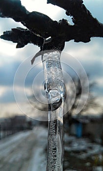 Icicle