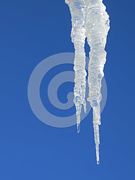 Icicle