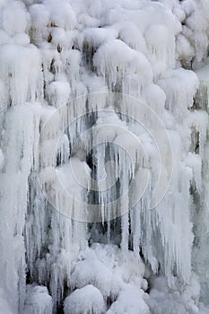 Icicle Cataract