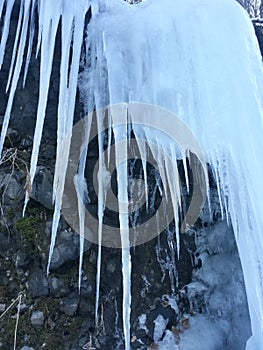 Icicle Curtain