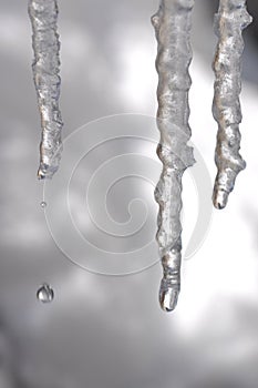 Icicle drips