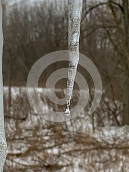 Icicle with drop on tip