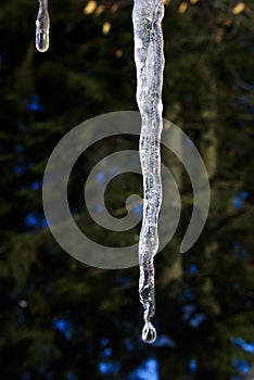 Icicle