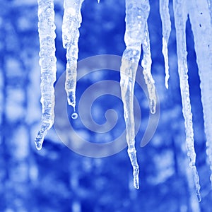 Icicle Pictures : Blue Background - Stock Photos