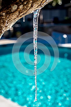 Icicle at the Pool in Atlanta Georgia