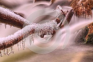 Icicle on the rocks an trunks