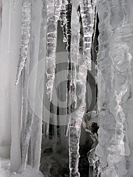 Icicle wall in the nature