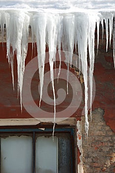 icicles