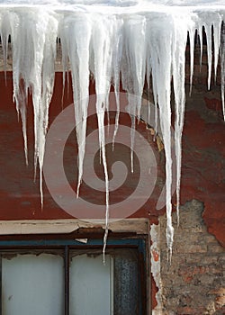 icicles