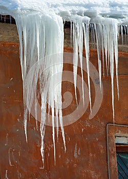 icicles