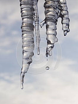 Icicles