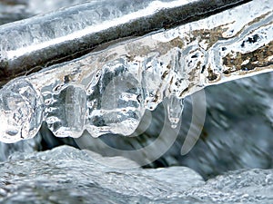 Icicles above forest stream