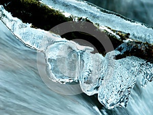 Icicles above forest stream