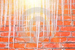 Icicles on a background of red brick wall