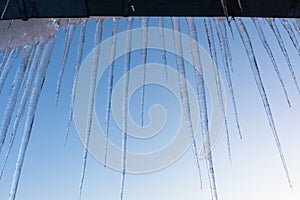 Icicles on blue sunset sky background