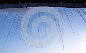 Icicles on blue sunset sky background