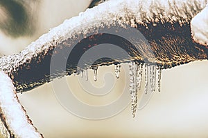 Icicles on branch over stream. Winter season photo