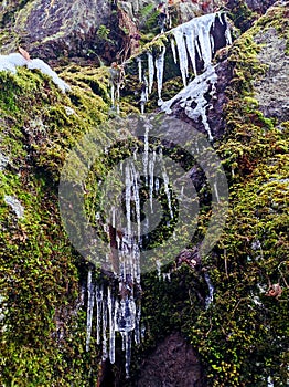 Icicles on cliff with moss natural artwork