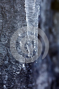 Icicles in closeup shot