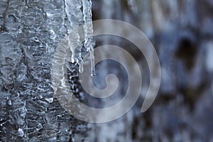 Icicles closeup in the winter