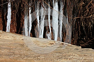 Icicles and driftwood