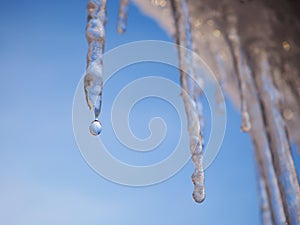 Icicles and a drop of melt water on a background of blue sky close-up. Snow melting. The beginning of spring and the warm season,