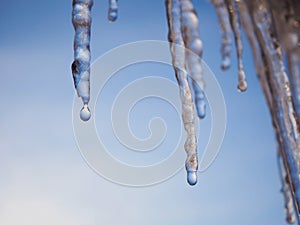 Icicles and a drop of melt water on a background of blue sky close-up. Snow melting. The beginning of spring and the warm season,