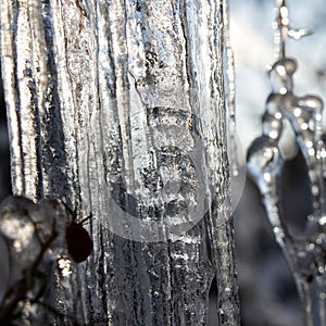 Icicles and a drop of melt water close-up. Snow melting.