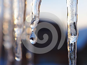 Icicles and a drop of meltwater in a rustic landscape in the sunset rays is a very close-up. Thaw and snow melting. The beginning