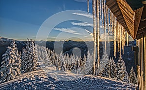 Icicles Fall From Roof at Sunrise in Cascade Mountains