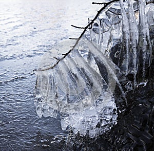 Icicles after frosty night