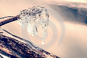 Icicles hang above freeze water of winter stream