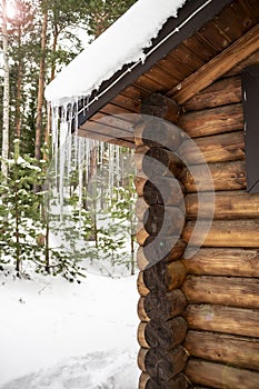 Icicles hang from the roof of a log house in the background of a