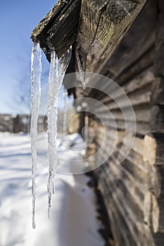 Icicles hang from the roof of an old log cabin on a sunny spring