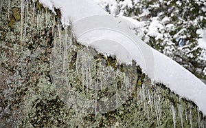 Icicles hang from a snow-covered boulder