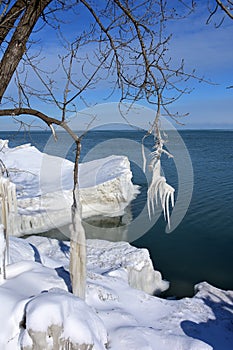 Icicles hang from tree branches in January along the Shores of Lake Michigan