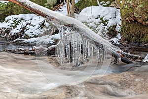 Icicles hanging from a branch above a stream