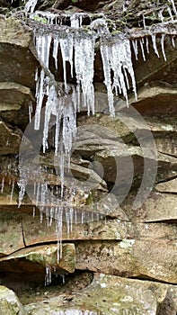 Icicles hanging from rocky cliff