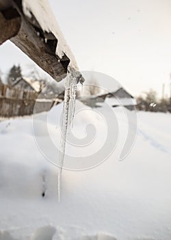 Icicles hanging from the roof against the backdrop of a snow-covered garden and an old house, a frosty evening in the village