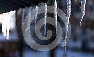 Icicles hanging from the roof in sunny weather