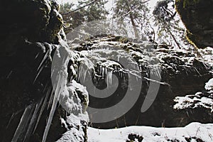 Icicles hanging from snow-covered rocks