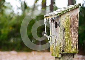 Icicles hanging from wooden bluebird house