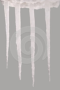 Icicles isolated on a grey background