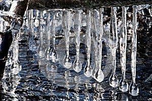 Icicles on a lake