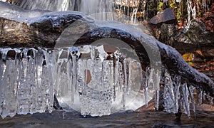 Icicles on log over water