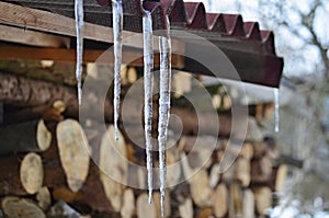 Icicles from melting snow, South Bohemia