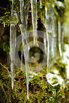 Icicles and moss