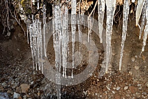 Icicles in the nature in Davos in Switzerland