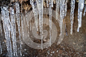 Icicles in the nature in Davos in Switzerland